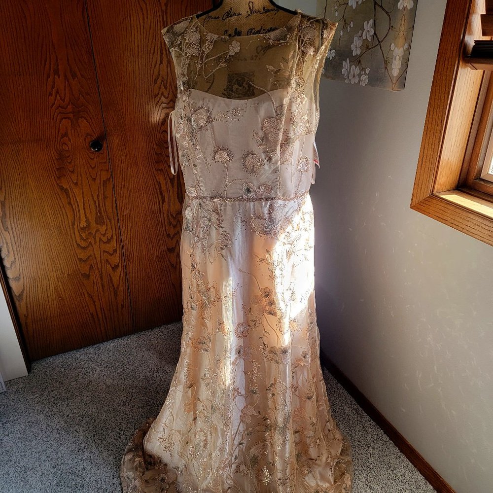 David's Bridal Sequined Embellished Illusion Neck dress size 14 Champagne color